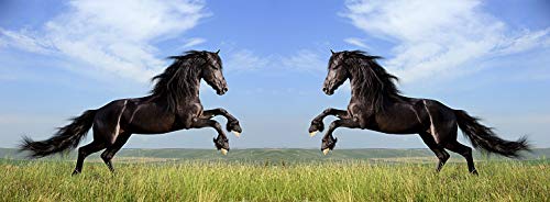 metALUm Kaffeetasse Pferde # 330010069