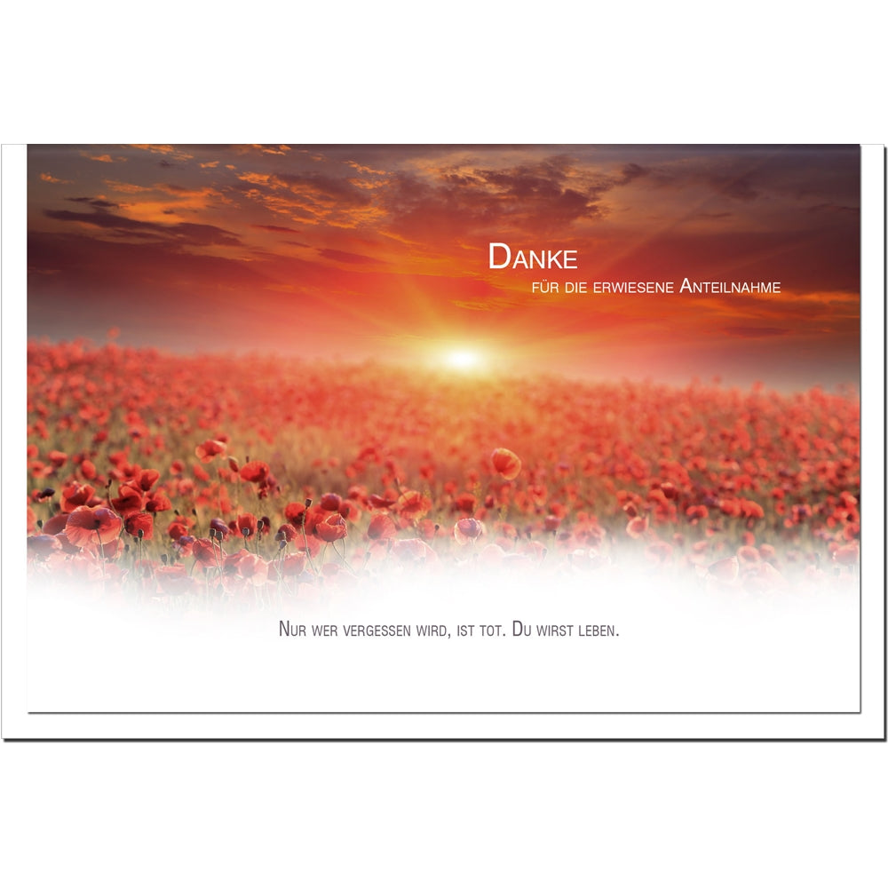 Trauer Danksagungskarten Mohnfeld 5er Set mit weißen Umschlägen