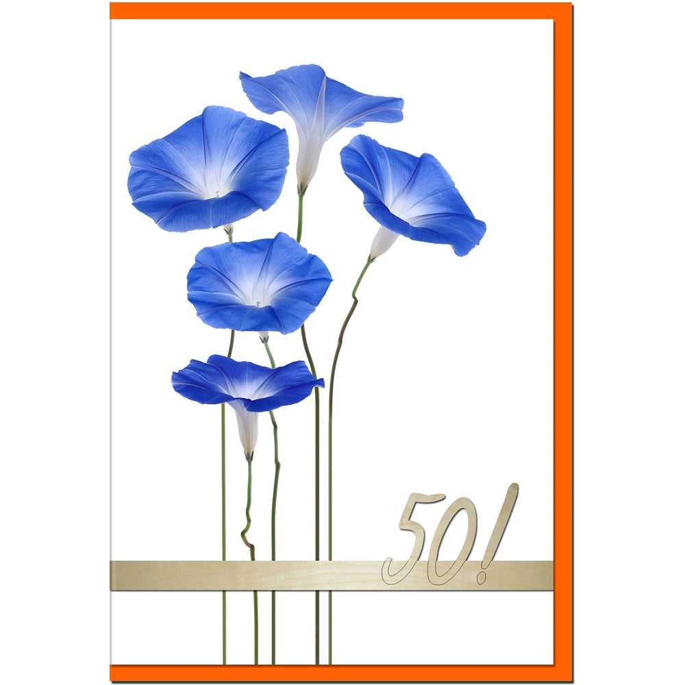 metALUm Geburtstagskarte ZAHLENKARTE 50. GEBURTSTAG - 1218004S