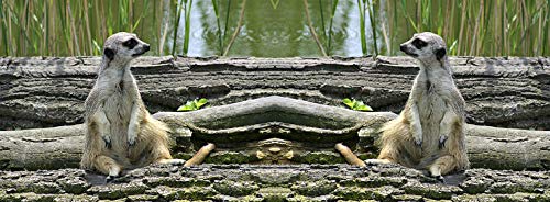 metALUm Kaffeetasse Erdmännchen # 330010081