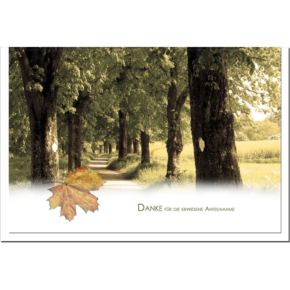 Trauer Danksagungskarten Motiv Waldweg 5er Set mit weißen Umschlägen