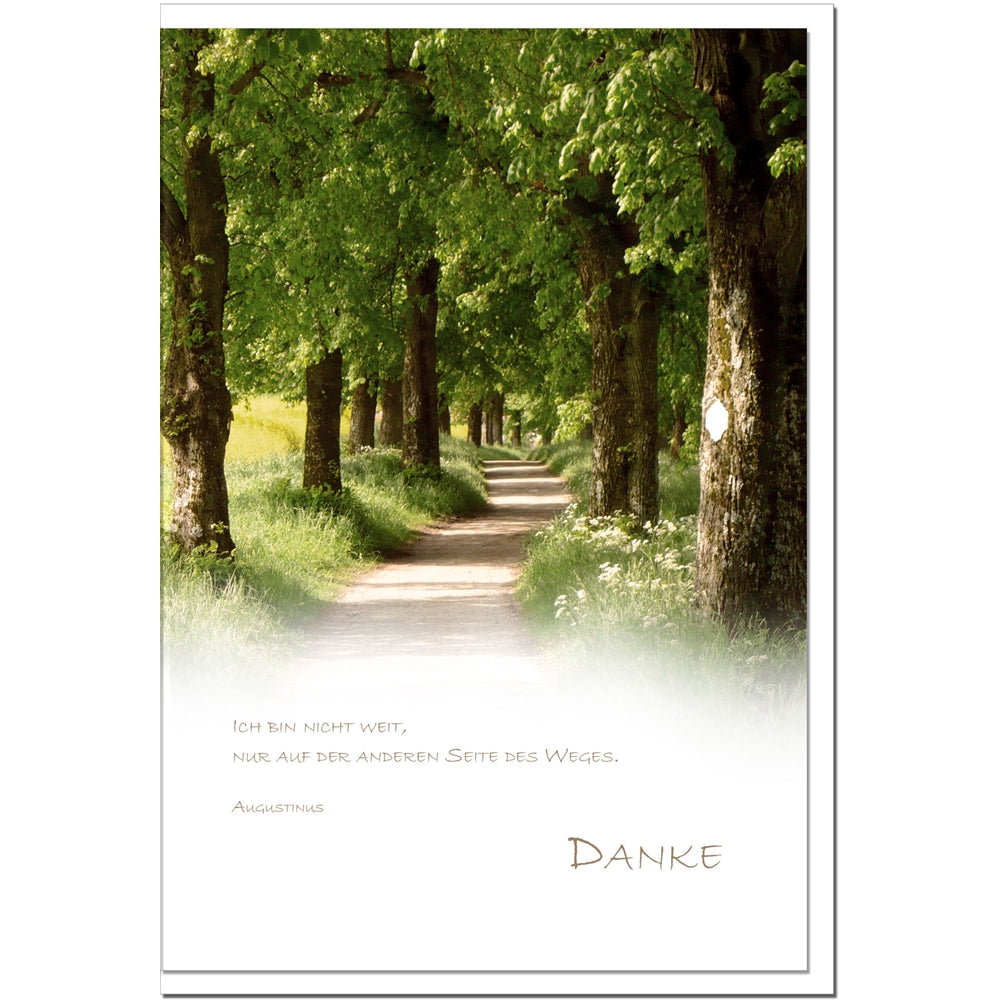 Trauer Danksagungskarten Waldweg 5er Set mit weißen Umschlägen