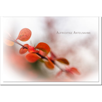 metALUm Trauerkarte B6 – Kondolenzkarte mit weißem Umschlag – Blattmotiv „Aufrichtige Anteilnahme“