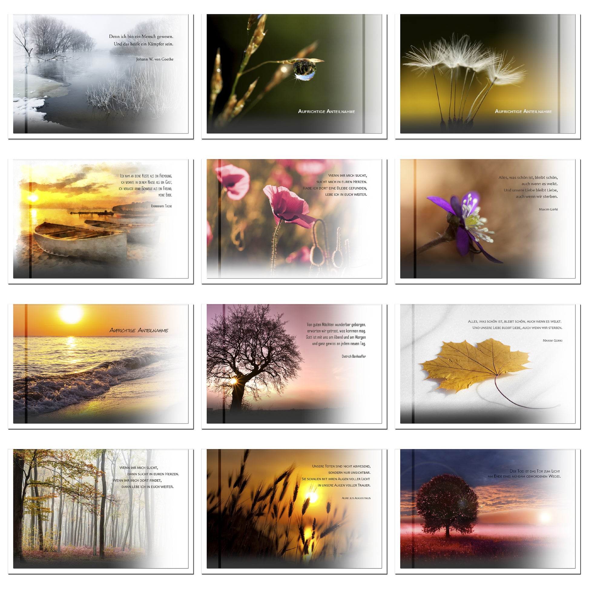 12 wunderschöne, einzigartige Trauerkarten Beileidskarten Kondolenzkarten für höchste Ansprüche im Set