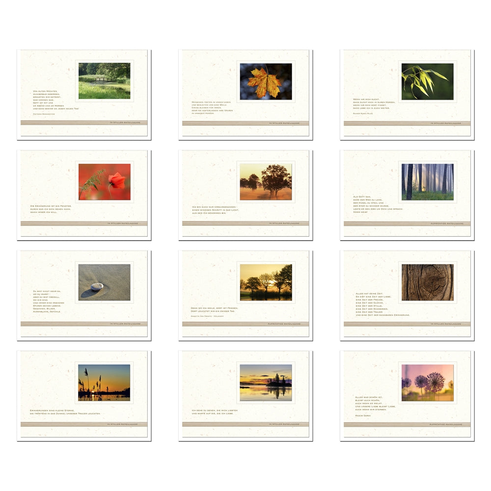 metALUm Set aus 12 exklusiven Trauerkarten B6 Doppelkarte mit Bambusverzierung und weißem Umschlag – stilvolle Naturmotive mit tröstlichen Zitaten