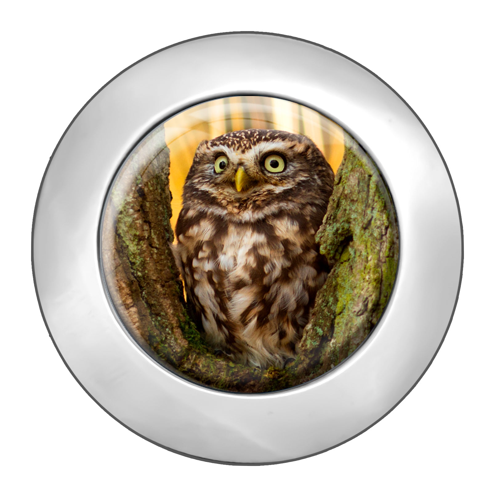 metALUm Taschenaufhänger Handtaschenhalter Eule mit faltbarem Magnetverschluss #2601013