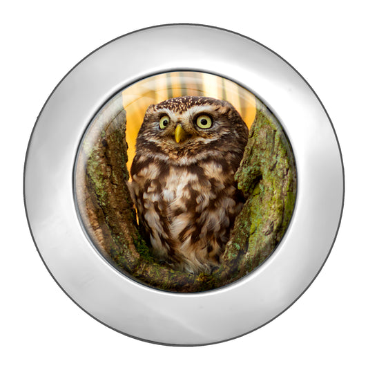 metALUm Taschenaufhänger Handtaschenhalter Eule mit faltbarem Magnetverschluss #2601013