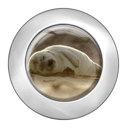 metALUm Taschenaufhänger Handtaschenhalter Robbe mit faltbarem Magnetverschluss #2601167