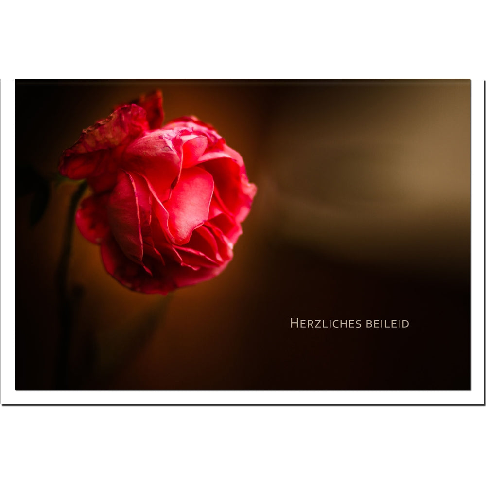 metALUm Karte zur Trauer Liebe- Rose - 3501008