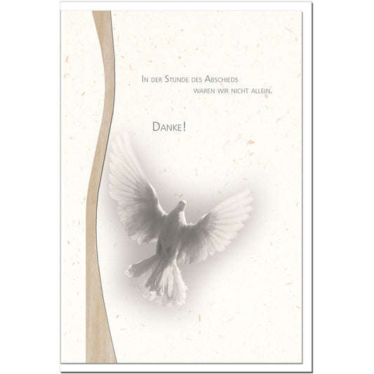 Trauer Danksagungskarten Motiv Möwe 5er Set mit weißen Umschlägen