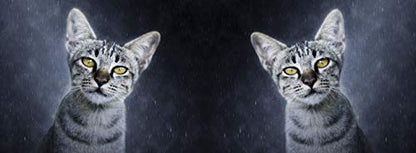 metALUm Kaffeetasse Katzen # 330010052