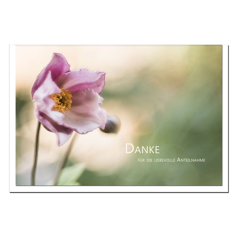 Trauer Danksagungskarten Motiv Christrose im 5er Set mit weißen Umschlägen