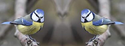 metALUm Kaffeetasse Meisen # 330010053