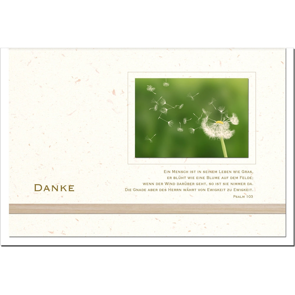 Trauer Danksagungskarten Motiv Pusteblume im 5er Set mit weißen Umschlägen