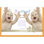 metALUm Karte zur Geburt von Zwillingen ZWEI BABYS - 1205010S