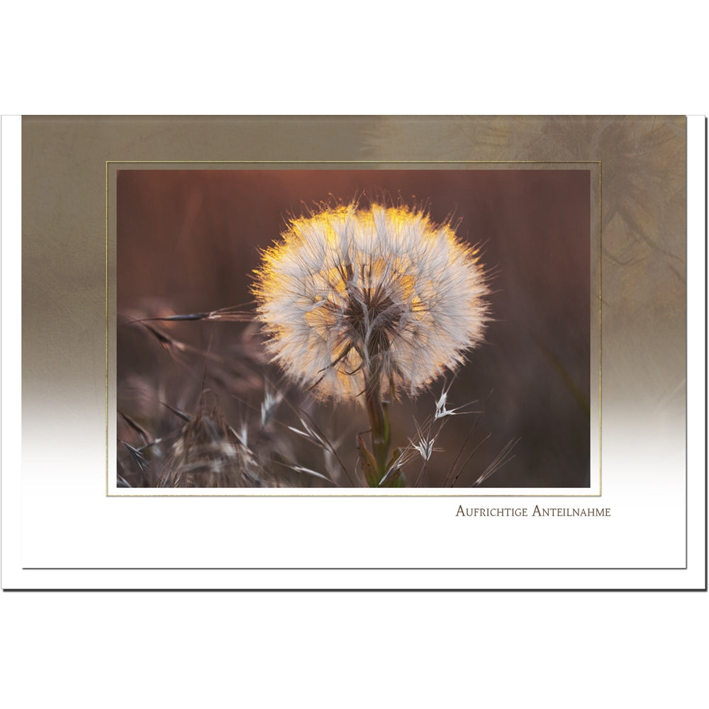 Trauerkarte ABSCHIED - Pusteblume - metALUm # 3300033