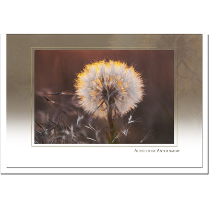 Trauerkarte ABSCHIED - Pusteblume - metALUm # 3300033