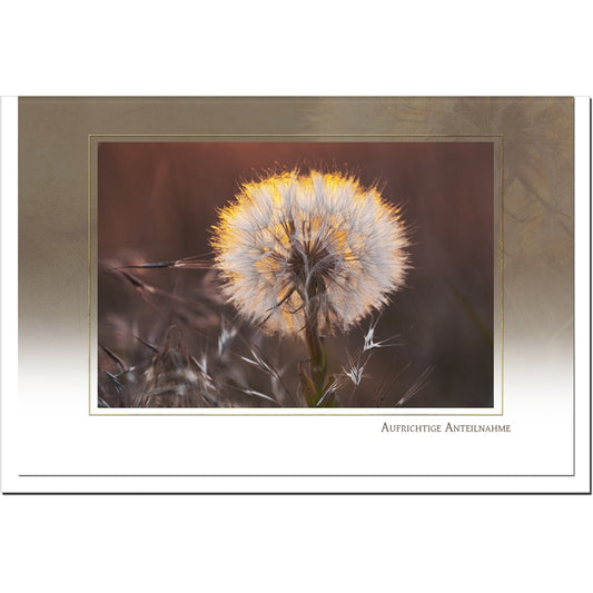 Trauerkarte ABSCHIED - Pusteblume - metALUm # 3300033