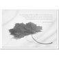 Trauerkarte ABSCHIED - Blatt - metALUm # 3300013