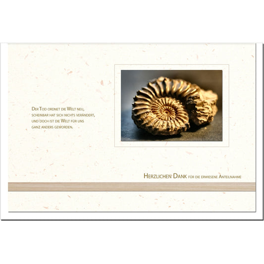 Trauer Danksagungskarten Motiv versteinerte Schnecke 5er Set mit weißen Umschlägen