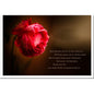 metALUm Karte zur Trauer LIEBE- Rose - 3501002