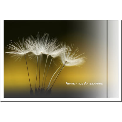Trauerkarte ABSCHIED - Pusteblume - metALUm # 3300041