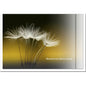 Trauerkarte ABSCHIED - Pusteblume - metALUm # 3300041