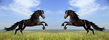 metALUm Kaffeetasse Pferde # 330010069