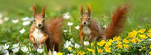 metALUm Kaffeetasse Eichhörnchen # 330010055