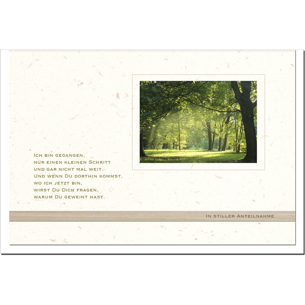 Trauerkarte VORAUSGEGANGEN - Licht im Wald - metALUm #00563