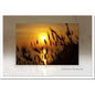 Trauerkarte ABSCHIED - Sonnenuntergang - metALUm # 3300027