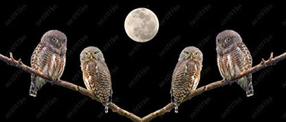 metALUm Kaffeetasse Eulen # 3300100136