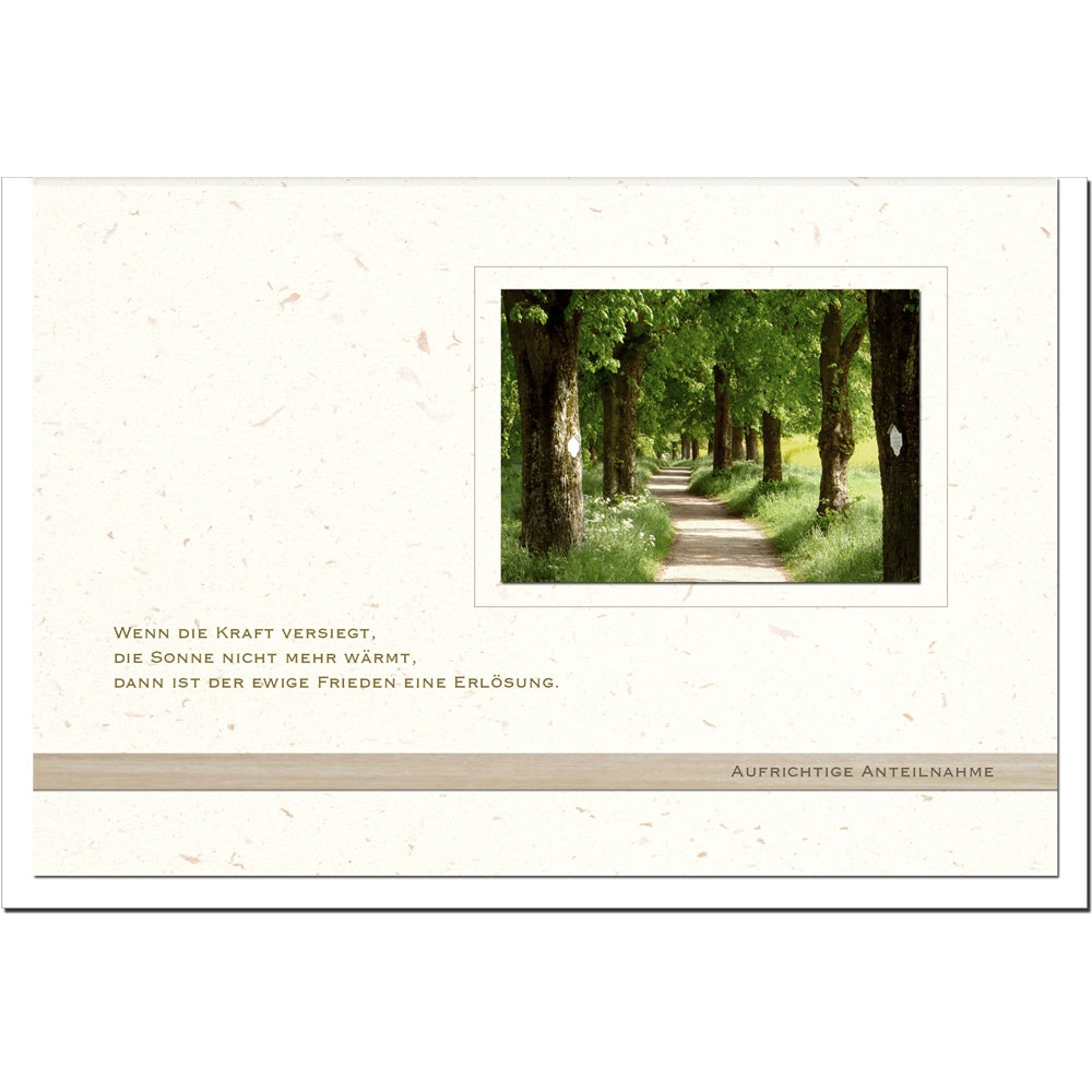 Trauerkarte ERLÖSUNG - Waldweg - metALUm #00566