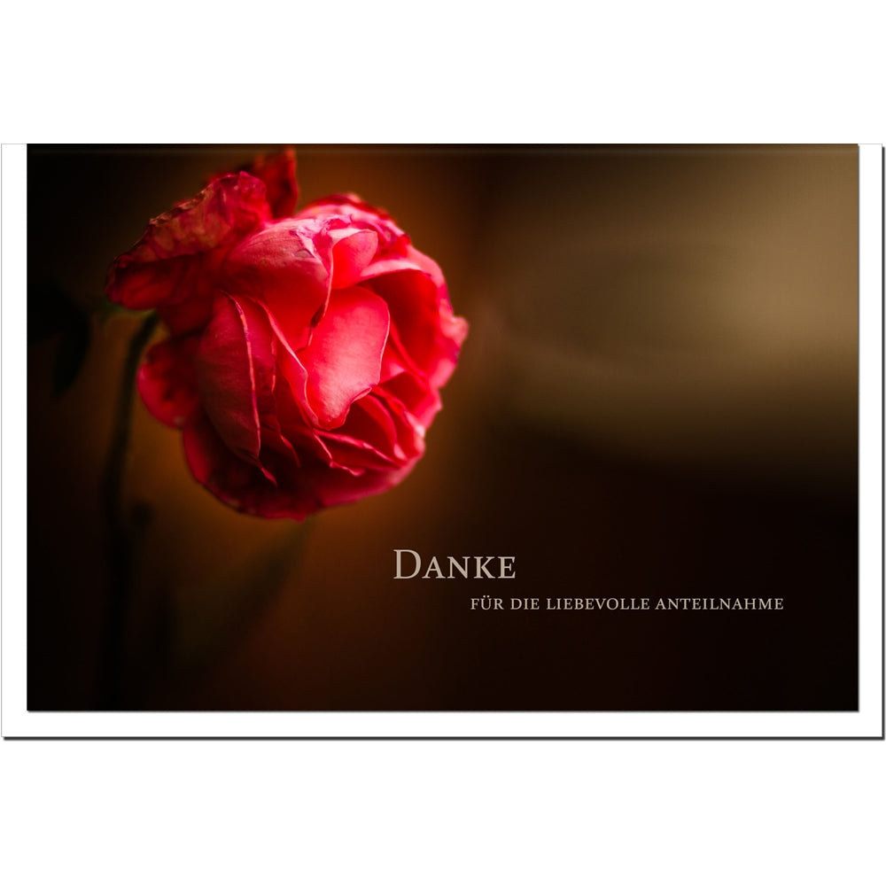 Trauer Danksagungskarten Motiv Rose 5er Set mit weißen Umschlägen