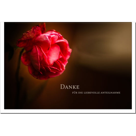 Trauer Danksagungskarten Motiv Rose 5er Set mit weißen Umschlägen