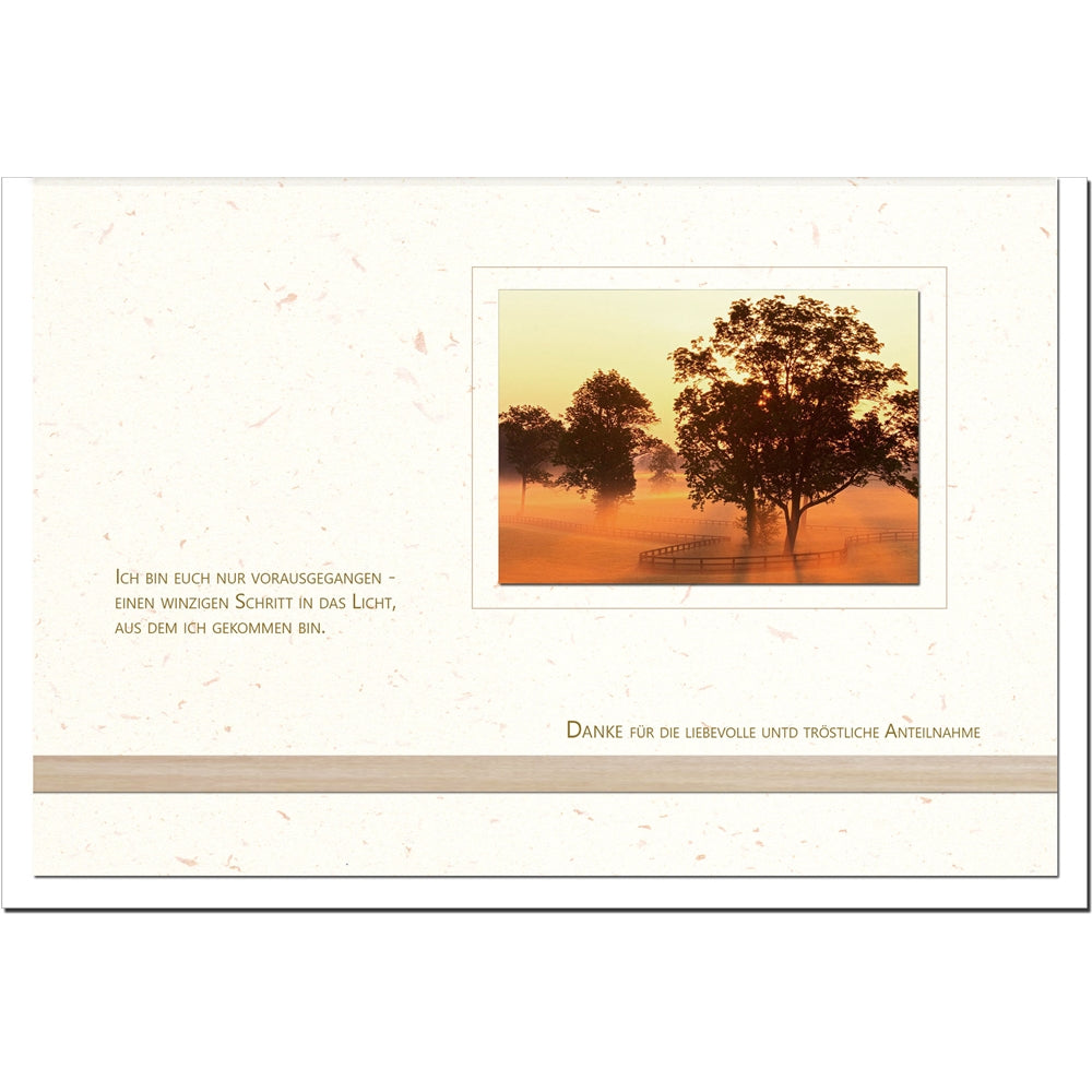 Trauer Danksagungskarten Motiv Nebel im 5er Set mit weißen Umschlägen