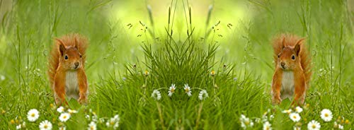 metALUm Kaffeetasse Eichhörnchen # 330010088