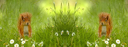 metALUm Kaffeetasse Eichhörnchen # 330010088