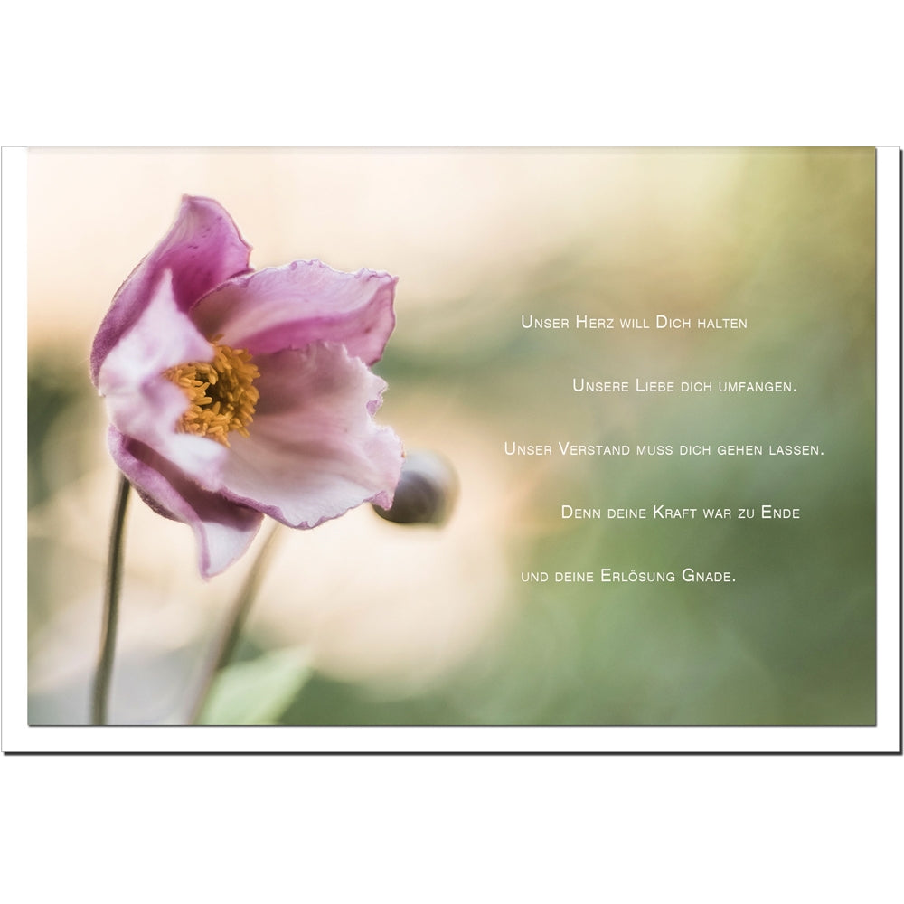 metALUm Karte zur Trauer ERLÖSUNG- Christrose - 3501004