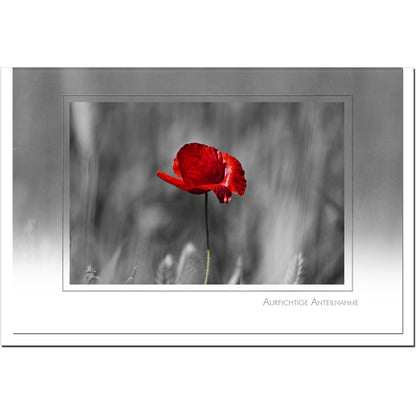 Trauerkarte GEDENKEN - Mohnblume - metALUm # 3300035
