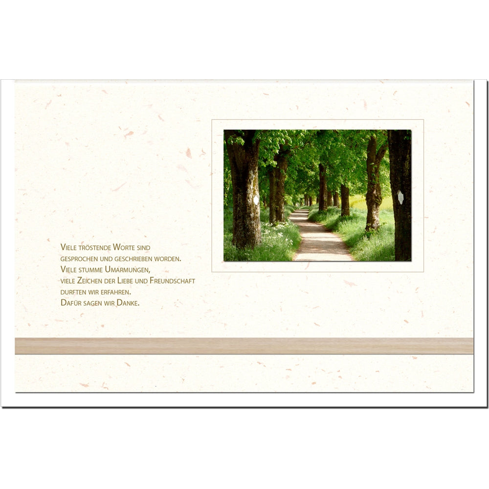 Trauer Danksagungskarten Motiv Weg im Wald 5er Set mit weißen Umschlägen