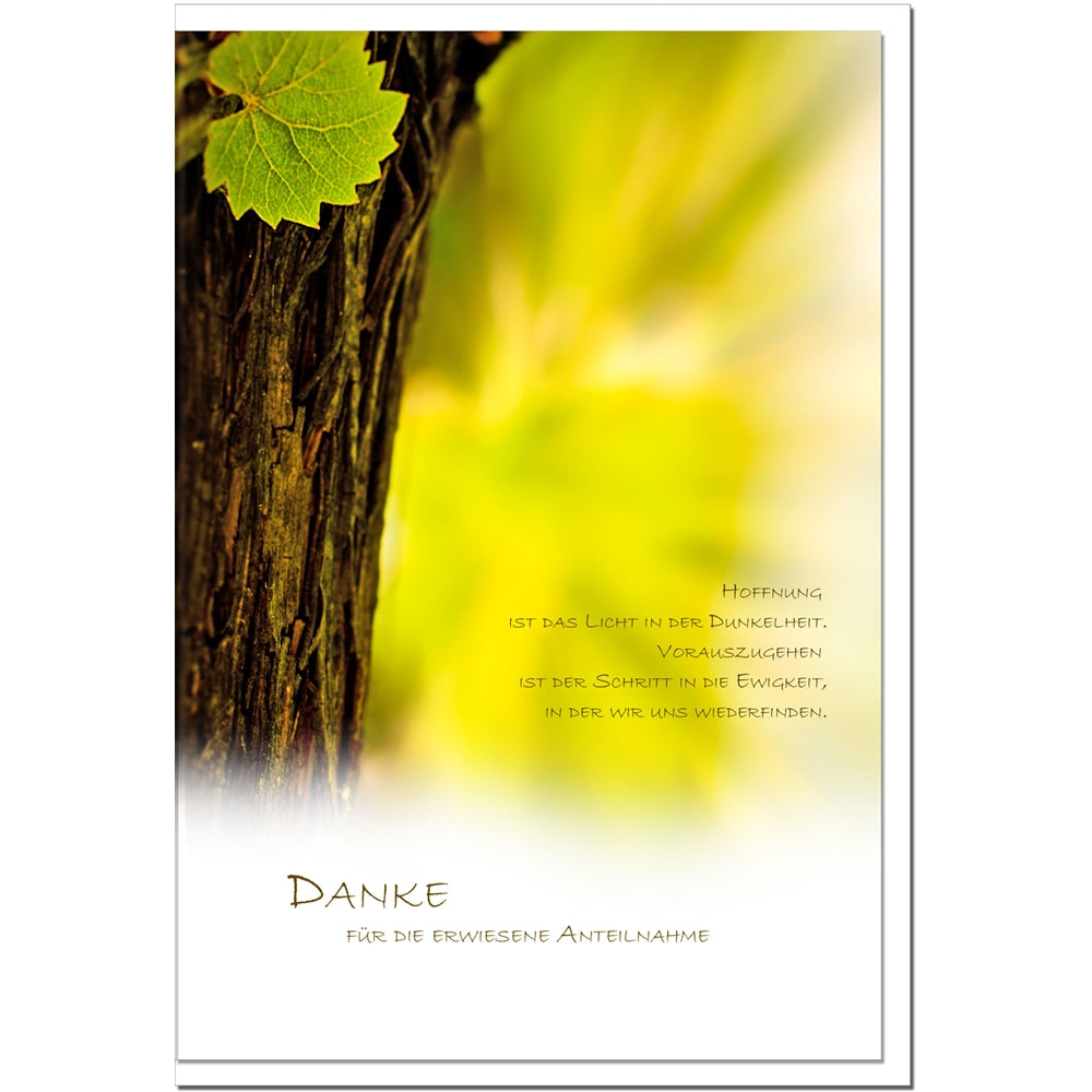 Trauer Danksagungskarten Motiv Baum des Lebens im 5er Set mit weißen Umschlägen