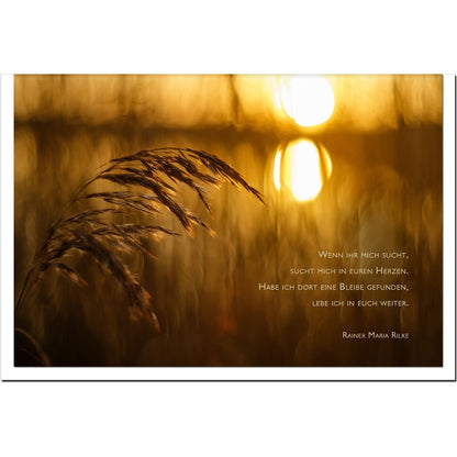 metALUm Karte zur Trauer SEHNSUCHT- Sonnenuntergang - 3501001
