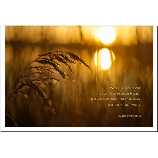 metALUm Karte zur Trauer SEHNSUCHT- Sonnenuntergang - 3501001