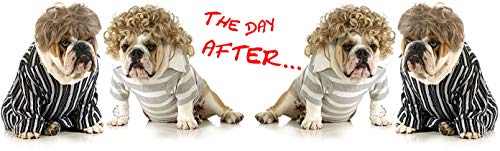 metALUm Kaffeetasse Hunde Bulldoggen # 330010078