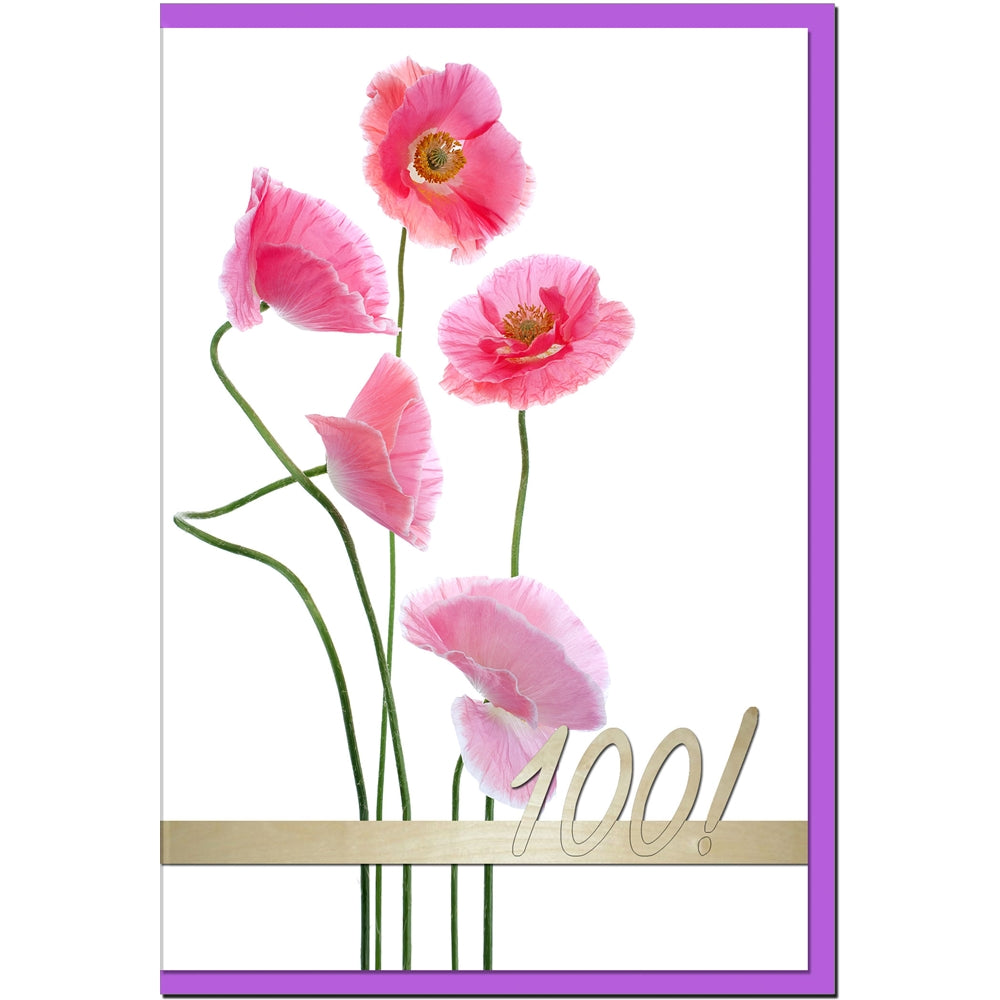 metALUm Geburtstagskarte ZAHLENKARTE 100. GEBURTSTAG - 1218012S