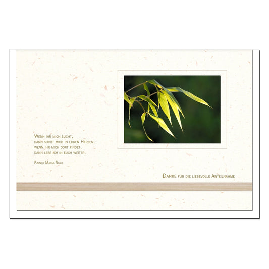 Trauer Danksagungskarten Motiv Bambus im 5er Set mit weißen Umschlägen