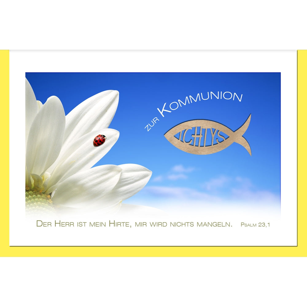 Grußkarten XXL/Marienkäfer/Kommunion