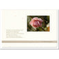 Trauerkarte ERINNERUNG - Verblühte Rose - metALUm #00569