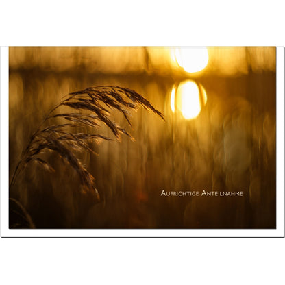 metALUm Karte zur Trauer HOFFNUNG- Sonnenuntergang - 3501007